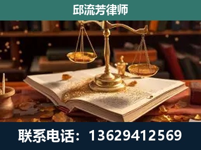 昭阳-新型网络犯罪